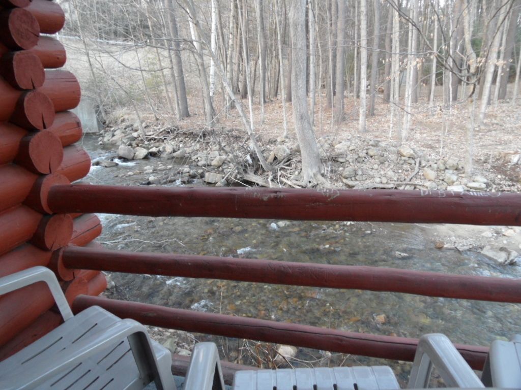 Foto - Seven Dwarfs Motel & Cabins