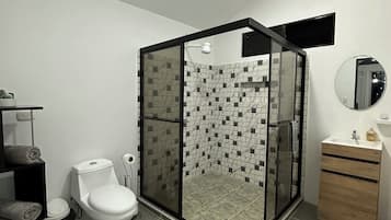 Hair dryer, towels, soap, toilet paper