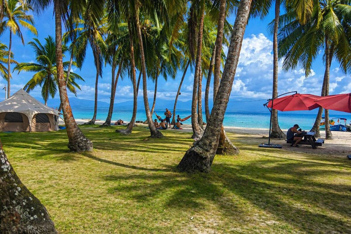 A beach with palm trees, a tent, and people relaxing.