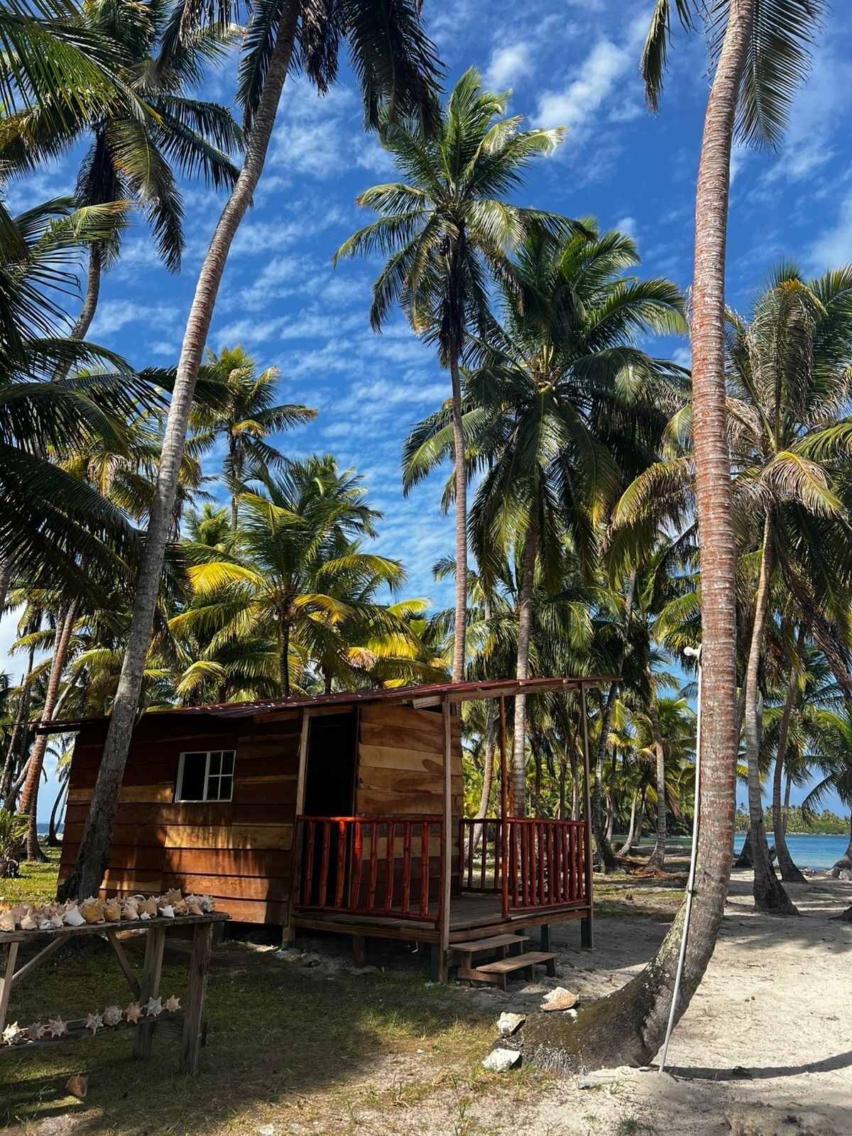 Deluxe Bungalow, Sea View | Property grounds
