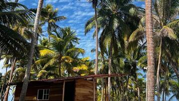 Deluxe Bungalow, Sea View | Property grounds