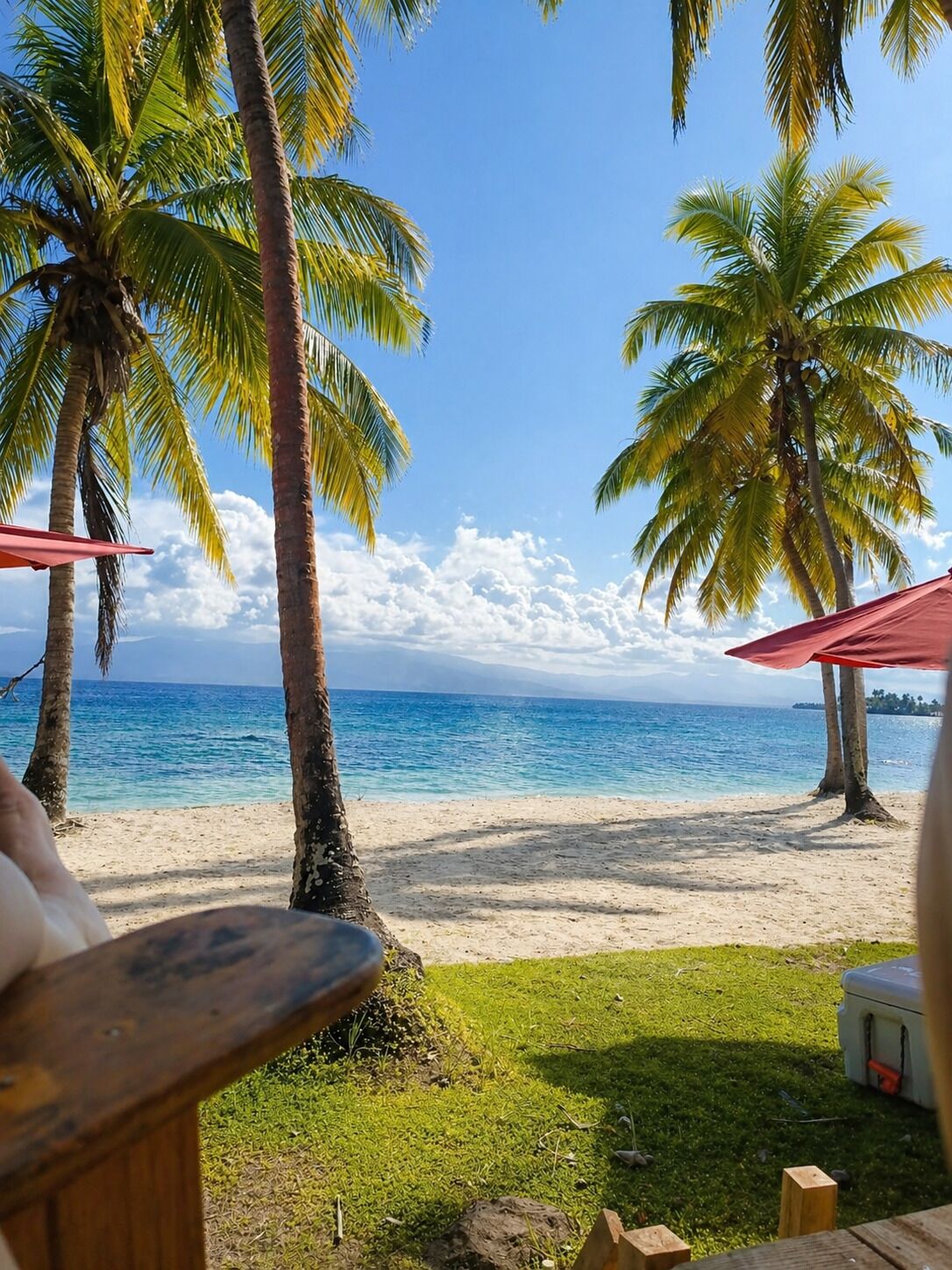 Una playa con palmeras, cielo despejado y vista al océano.