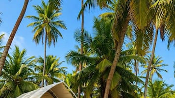 Tente Deluxe, vue mer | Wi-Fi gratuit