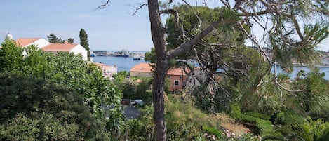 Ulkoalueet
