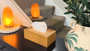 Un interior moderno con una mesita de madera, una caja de pañuelos, una planta decorativa y dos velas encendidas.