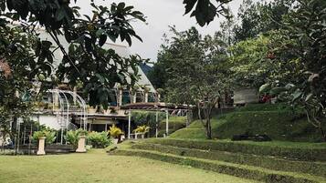 A landscaped garden with pathways, a greenhouse, and a building with a sloped roof.