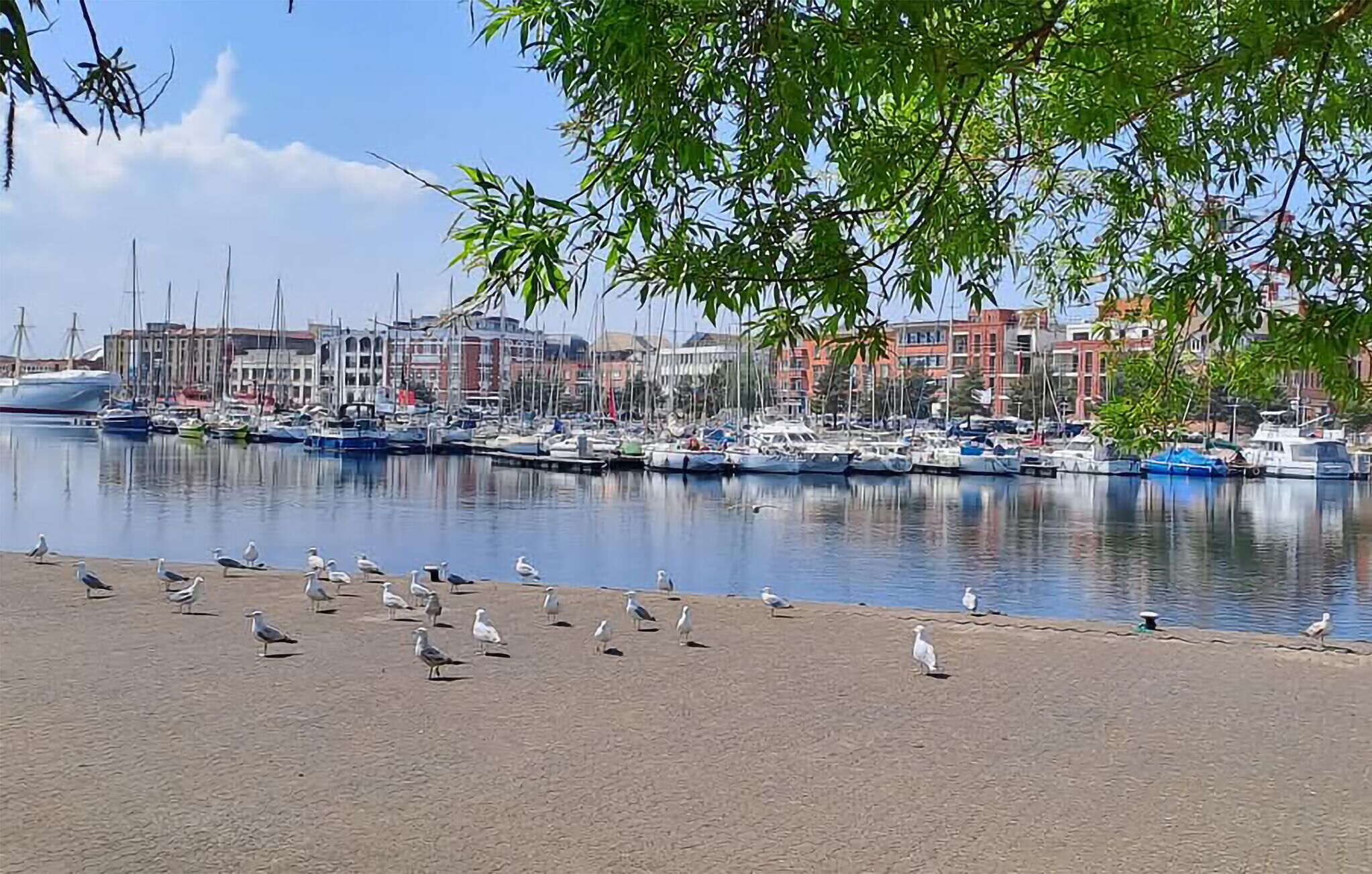 Jachthaven
