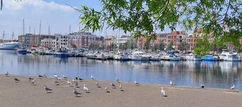 3 bedroom cozy apartment in Bray-Dunes