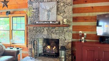 Smart TV, fireplace, DVD player, books