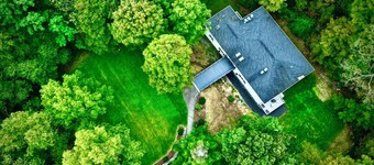 The Harlow House