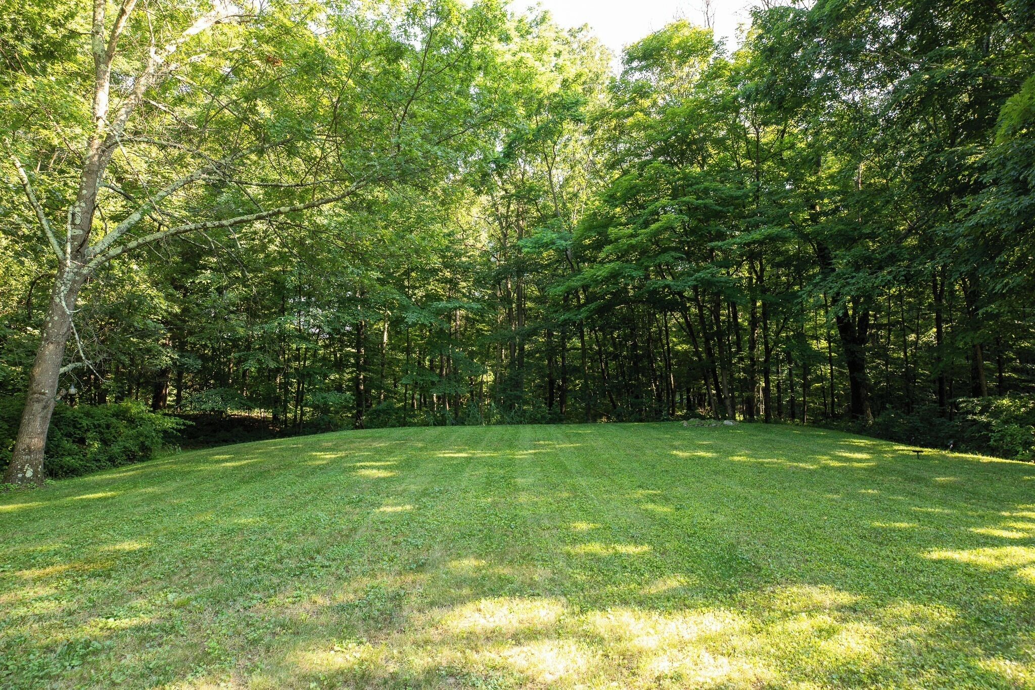 A grassy field surrounded by dense trees.