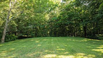 A grassy field surrounded by dense trees.