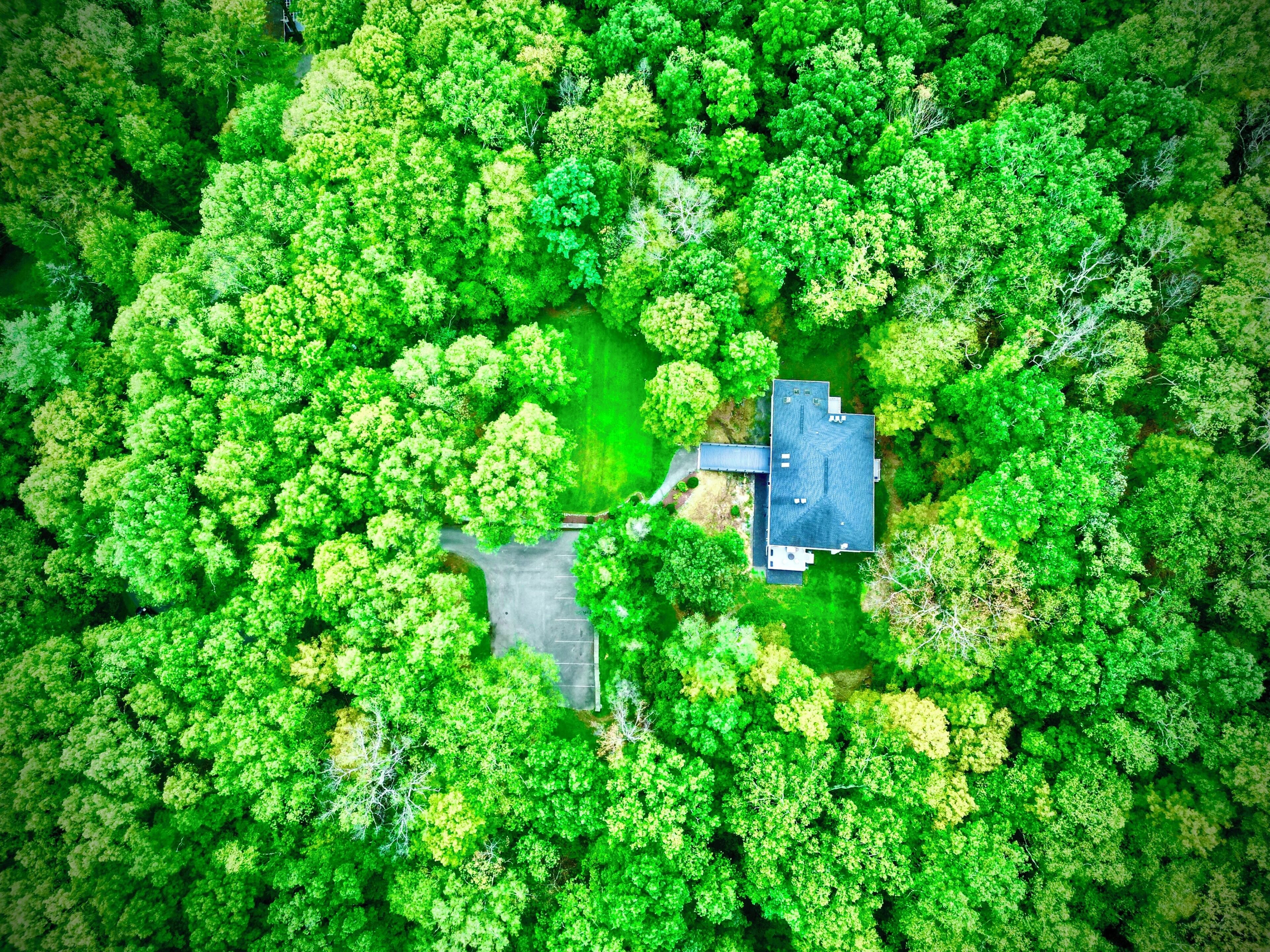 Vista aérea de una casa rodeada de un bosque verde y frondoso.