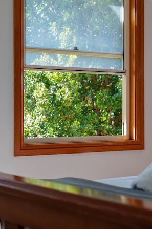 Ein Fenster mit Holzrahmen und Blick auf grünes Laub.