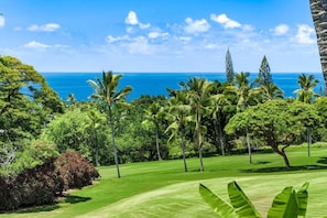 A lush green landscape with a view of the ocean, palm trees, and a clear sky. - 🏖️Ocean View Condo w/ Loft + A/C in Bedrooms | Keauhou (Kailua Kona)
