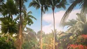 Una piscina rodeada de exuberante vegetación y palmeras.