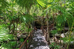 Uma ponte de madeira em uma floresta verdejante e exuberante, com vegetação densa e árvores.