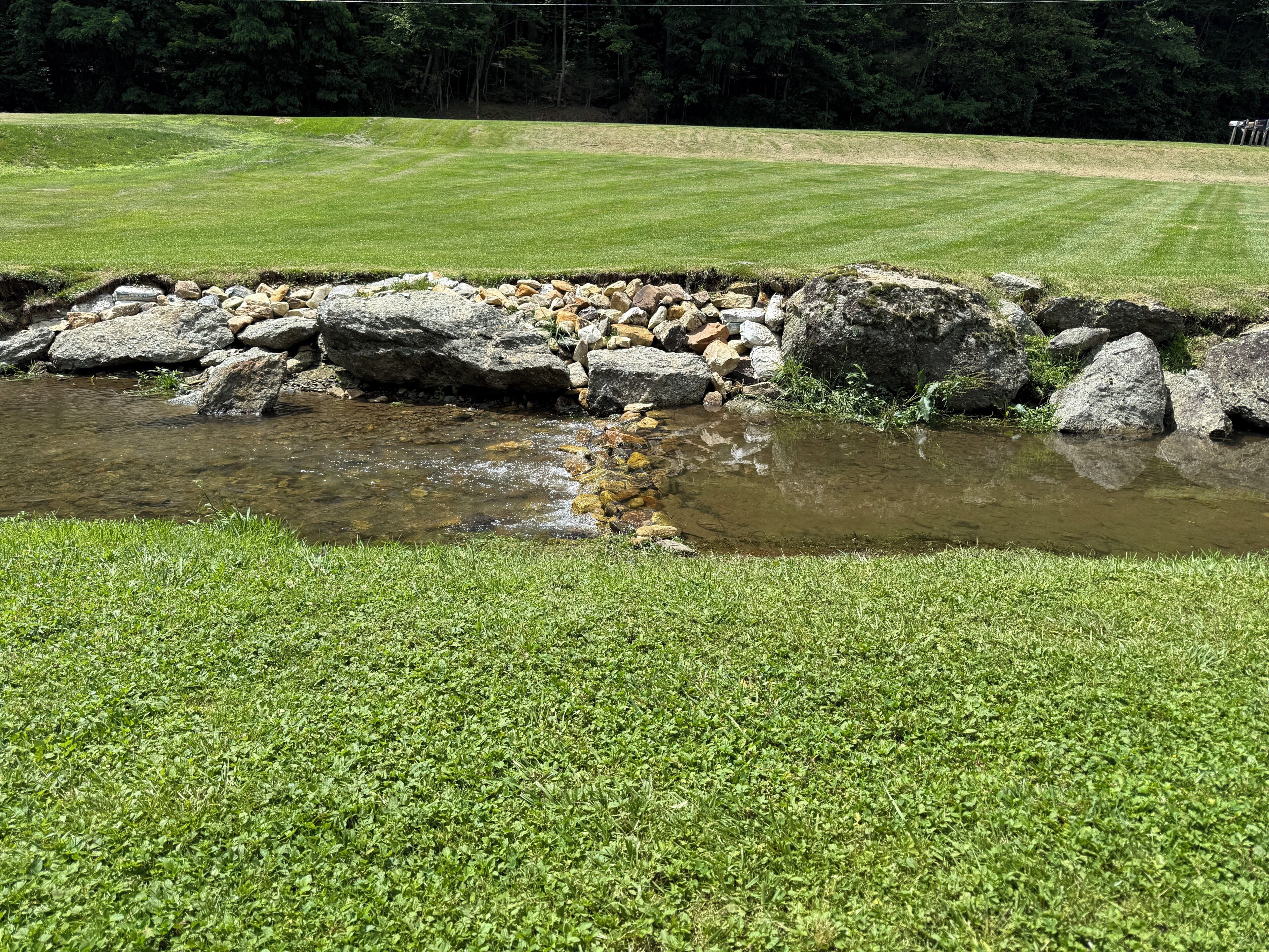 A small stream with rocks and grass.