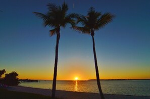 A sunset over a beach with palm trees. - Sanibel Harbour Resort Harbour Tower 1212: 3 Bedroom Dream Vacation Rental offers stunning views! (Fort Myers)