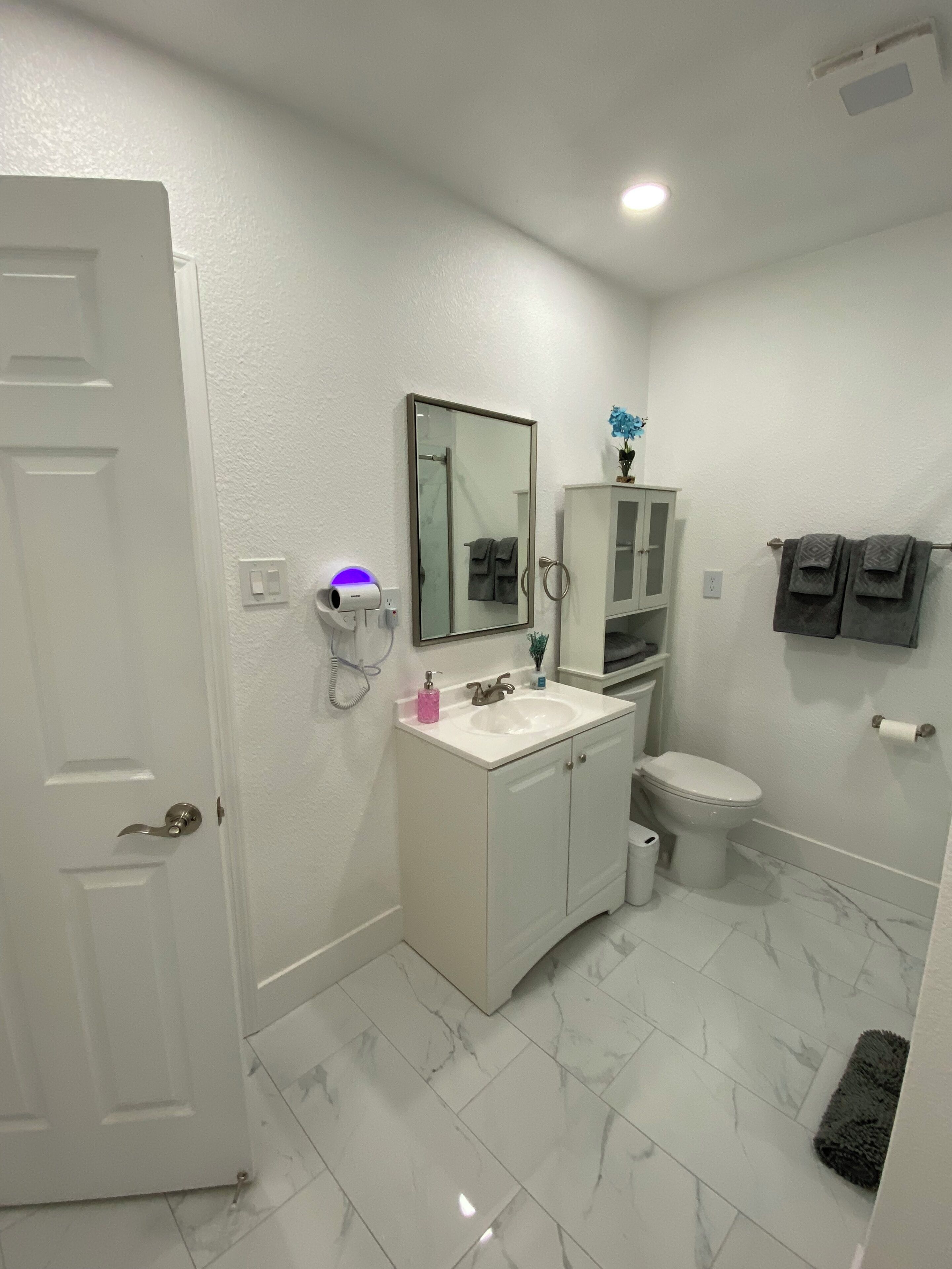 Hair dryer, towels, soap, toilet paper