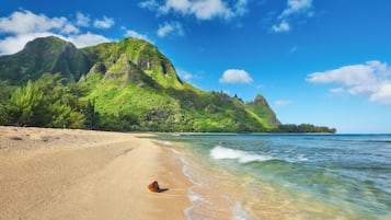 Mobile Home, Patio, Mountain View | Beach