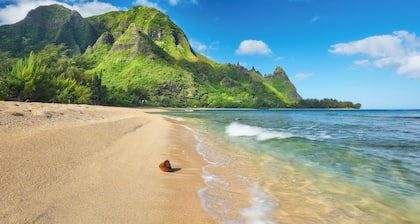 Kauai Camper Glamping Full Gear Included