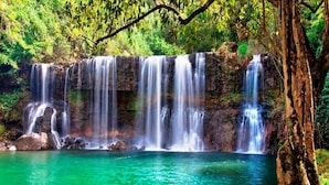Una cascata che si getta in una pozza limpida, circondata da vegetazione lussureggiante.