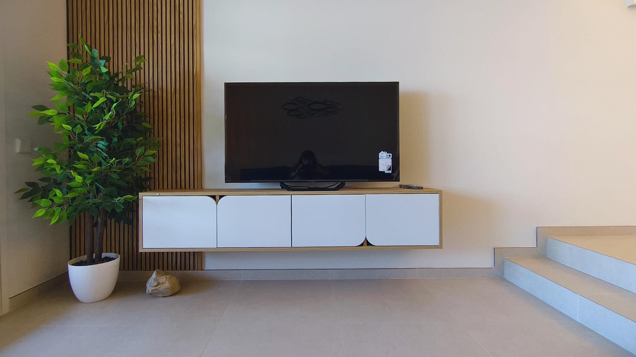 Un salon moderne avec un téléviseur à écran plat posé sur un meuble blanc, une plante en pot et un petit rocher sur le sol.