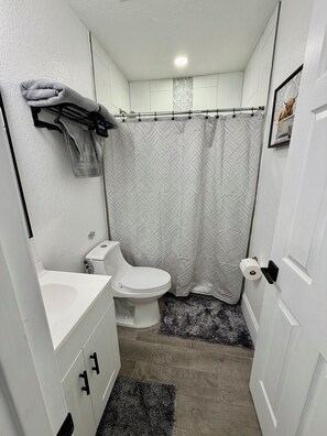 Shower, hair dryer, towels, soap -     Modern & Cozy Apartment Near Everything You Need! (Valrico)