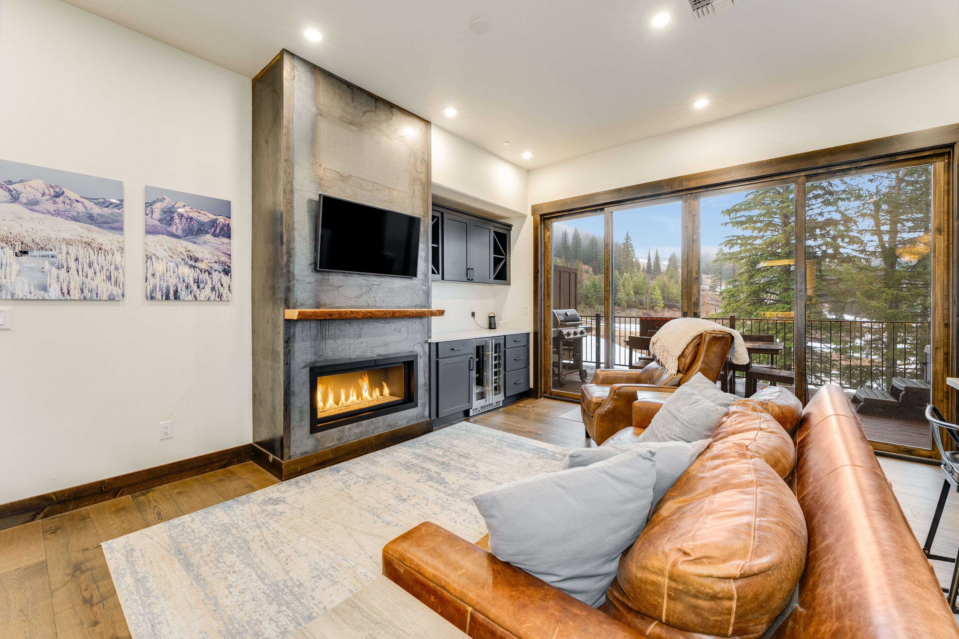 TV, fireplace