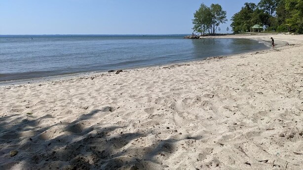 A beach with clear water, a sandy shore, and some trees.