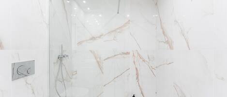 Douche, séchoir à cheveux, serviettes fournies