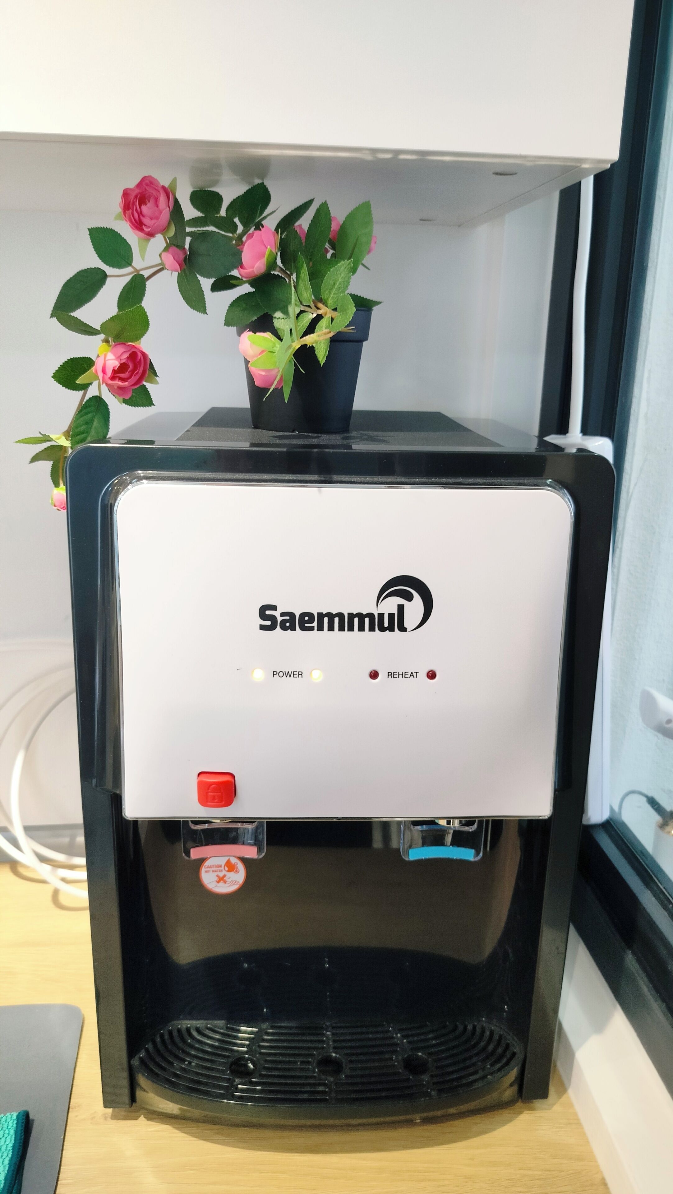 A Saemmul coffee machine with a potted plant on top, placed on a wooden surface.