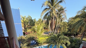 Una piscina circondata da vegetazione lussureggiante e palme, con un cielo azzurro terso.