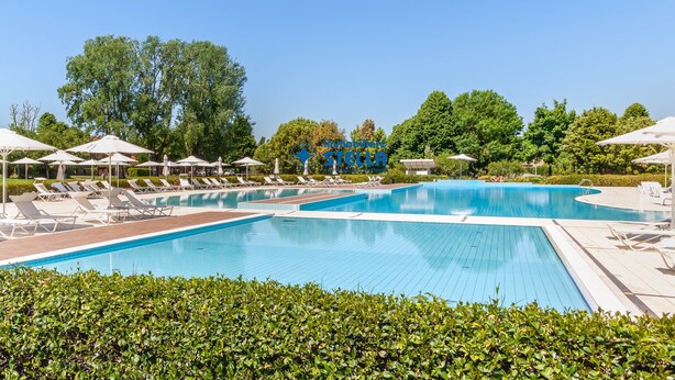 Une piscine entourée de verdure, avec des chaises longues et des parasols.