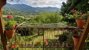 A balcony with a wrought iron railing overlooking a green landscape and mountains. - The view of the Castle (Cereseto)
