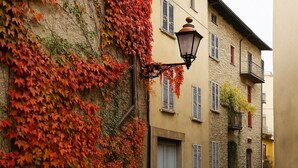 A narrow cobblestone street with buildings featuring stone walls and shutters. - The view of the Castle (Cereseto)