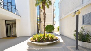 Une cour avec un palmier, un jardinière ronde plantée d’arbustes, une porte et la façade d’un bâtiment.