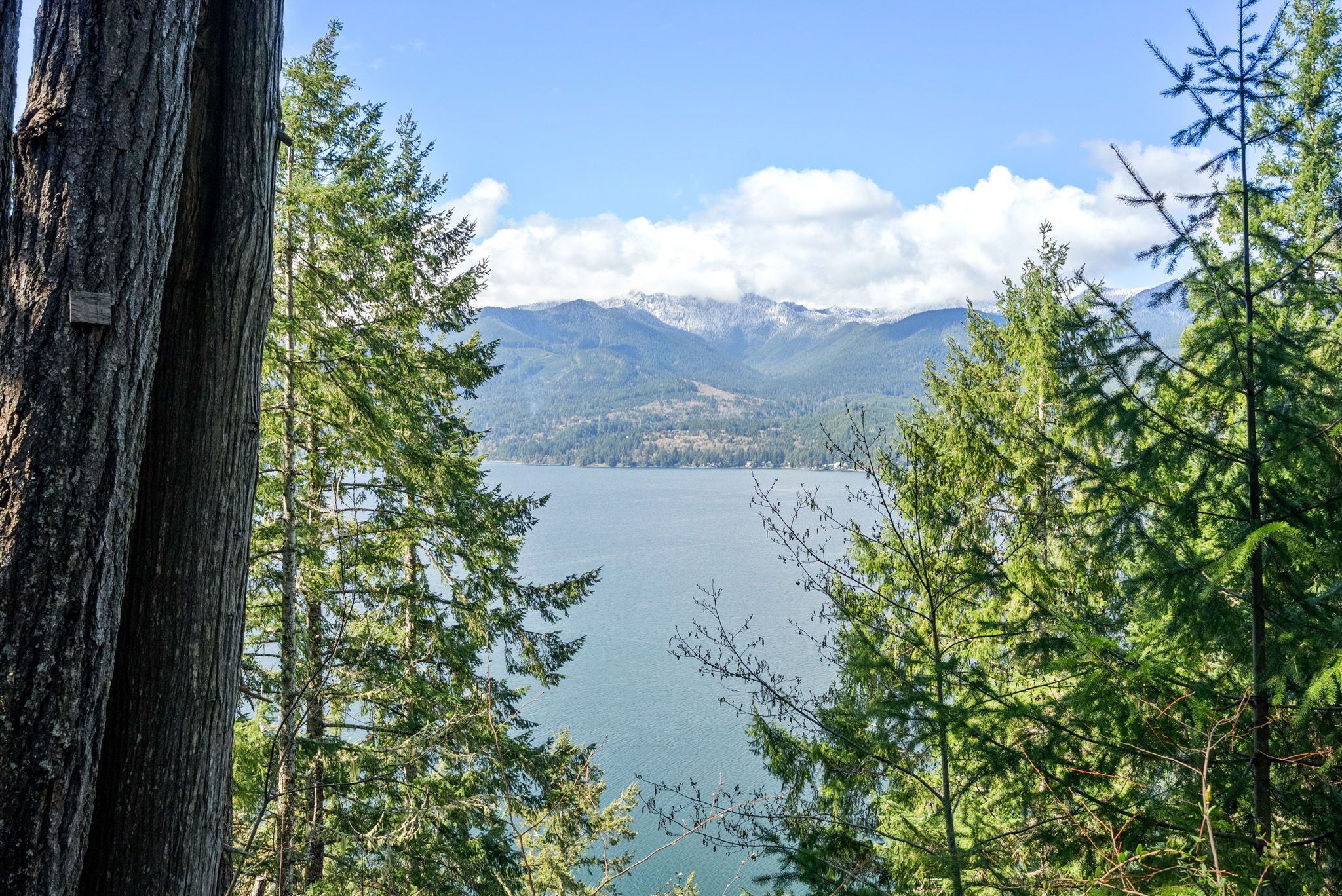 A lake surrounded by mountains and trees.