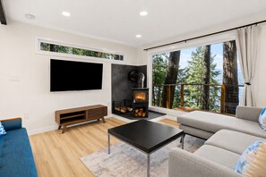 Fernseher, Kamin, Computerbildschirme