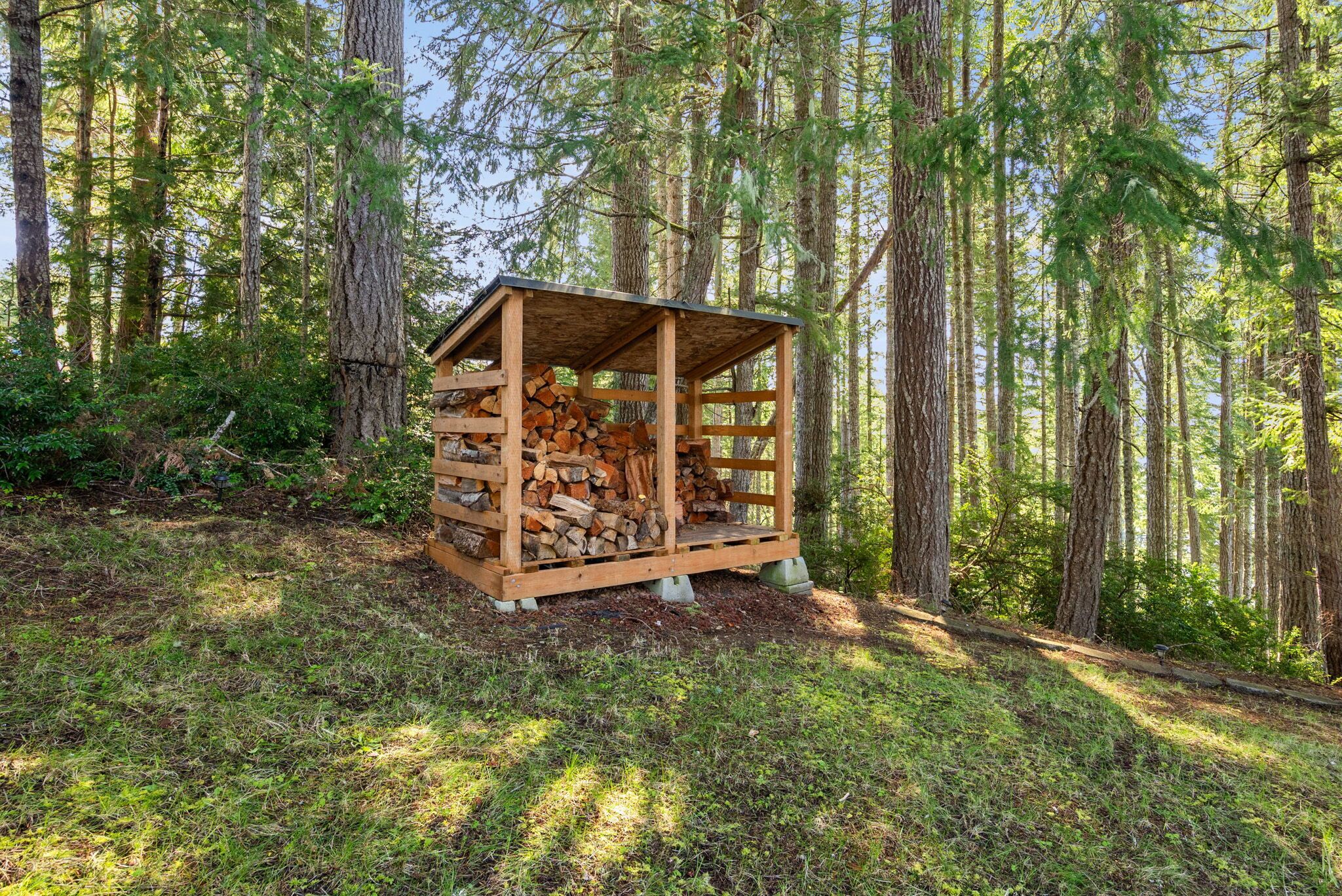 A wooden cabin with a sloped roof, surrounded by tall trees and a grassy area.