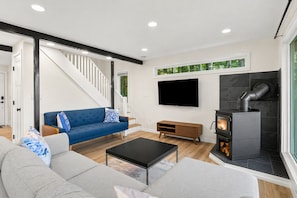TV, fireplace, computer monitors