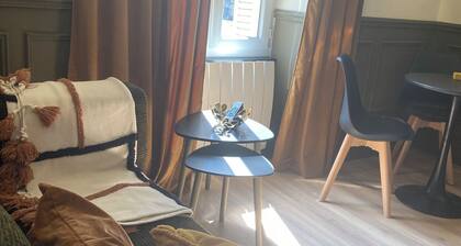Charmant appartement entiÚrement rénové en centre ville de Dijon
