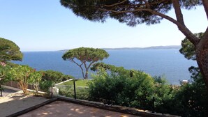 Blick auf eine Küstenlandschaft mit Sandstrand, Bäumen und freiem Blick auf das Meer.