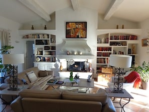 Sala de estar com sofá, mesa de centro, lareira, estantes e objetos decorativos.