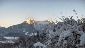 Paesaggio montano con alberi innevati e cielo sereno.