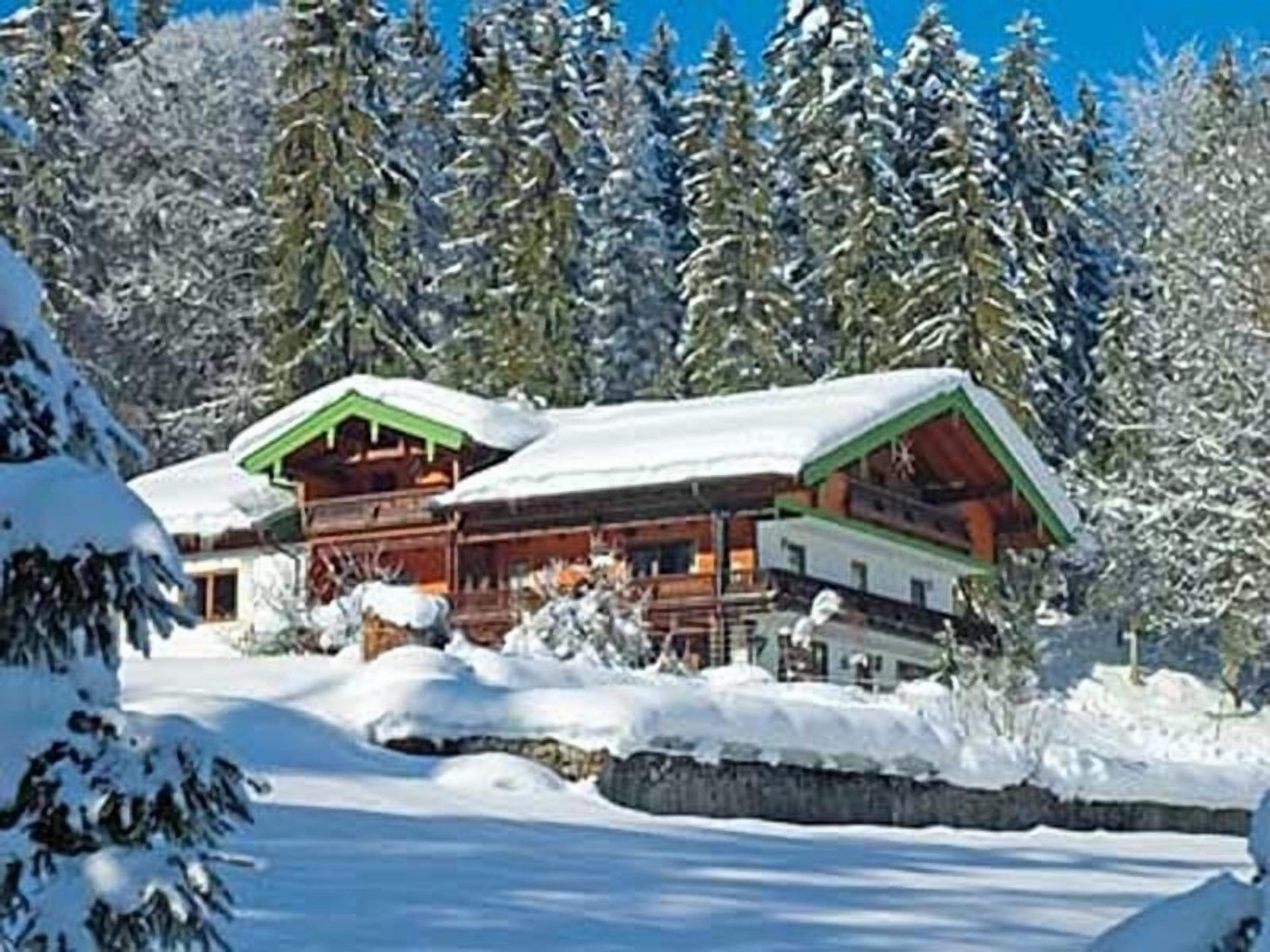 Eine Holzhütte mit einem grünen Dach, umgeben von schneebedeckten Bäumen.