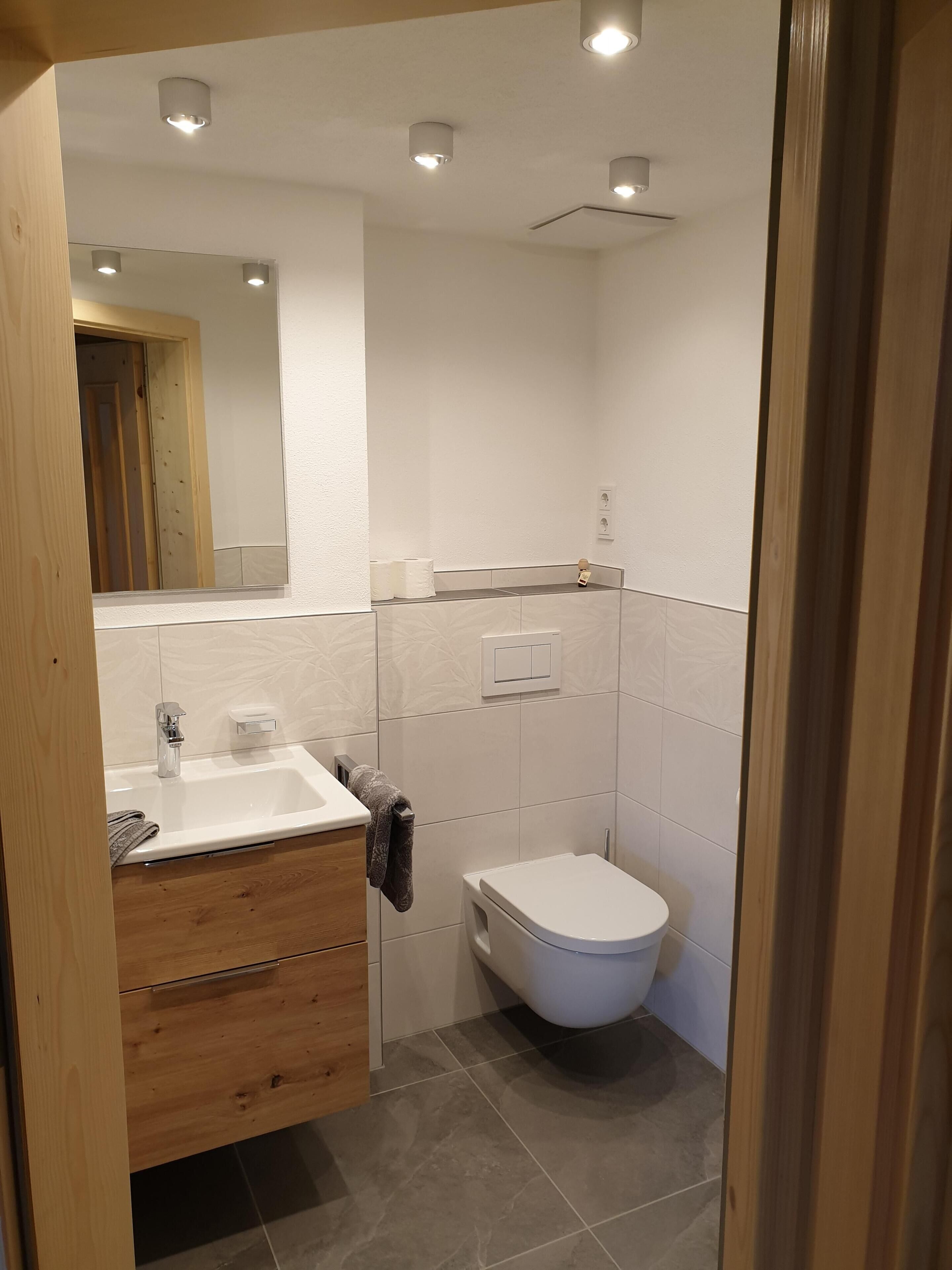 Un bagno moderno con un mobile lavabo in legno, un lavandino bianco, un WC e uno specchio.