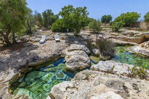 Miscellaneous - Villa Pajara del Capitano (Sant'Isidoro)