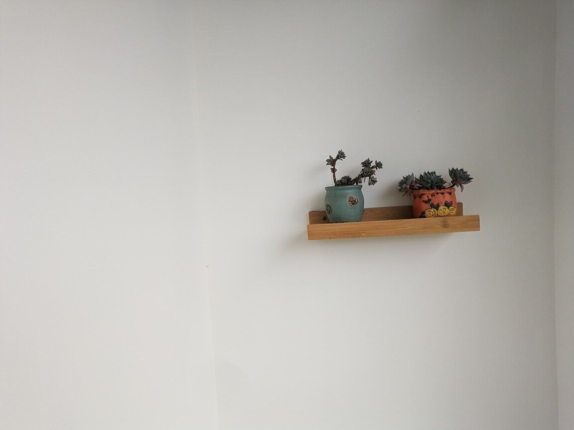 En træhylde med to plantede planter foran en ensfarvet væg.